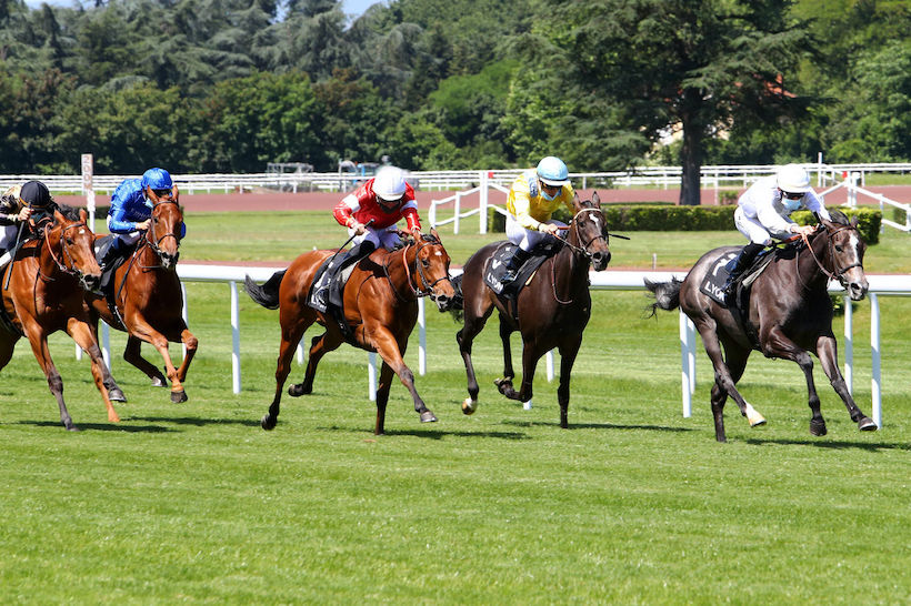 Very proud of our first runner Marie de Vega (Lope de Vega), 2nd in the Prix La Belle II at Lyon-Parilly. 
Congrats all connections <a href="/BallylinchStud/">BallylinchStud</a> <a href="/Tweenhills/">Tweenhills</a> <a href="/EcurieMonceaux/">Ecurie Monceaux</a>  Gestüt Brümmerhof 
Purchased by <a href="/MERIDIAN7/">BOZO</a> at <a href="/InfoArqana/">ARQANA</a> august sales