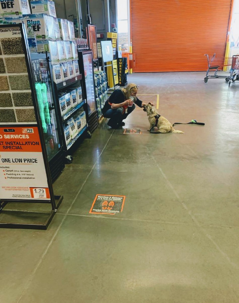 Bernade80165943's tweet photo. Cashier practice social distancing with one of her Home Depot Fans Elvis💚💚💚 https://t.co/igNwHi4nIC