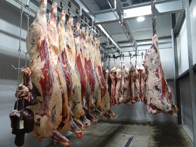 PartiAnimaliste's tweet photo. « Les abattoirs cristallisent l’indifférence des autorités. Alors que cette crise aurait pu amener à prendre en compte à la fois les intérêts des animaux et des humains, notre société a fait le choix du mépris des deux ». Notre communiqué de presse 👇 https://t.co/JU4GmfMPkl https://t.co/TtKO15aN24