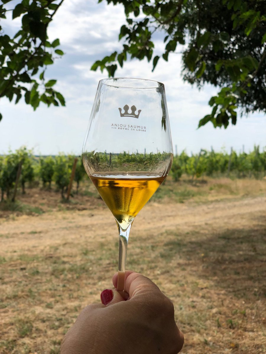 BonBecBoheme's tweet photo. Pour ce #NationalWineDay j’avoue mon faible pour le chenin cultivé ds la Loire au Languedoc en passant par l’Afrique du Sud en sec, en doux ou avec des bulles ce cépage est des plus surprenant #chenin #vin #winelover #bubblewine #sparklingwine https://t.co/6bzFNa04Hm
