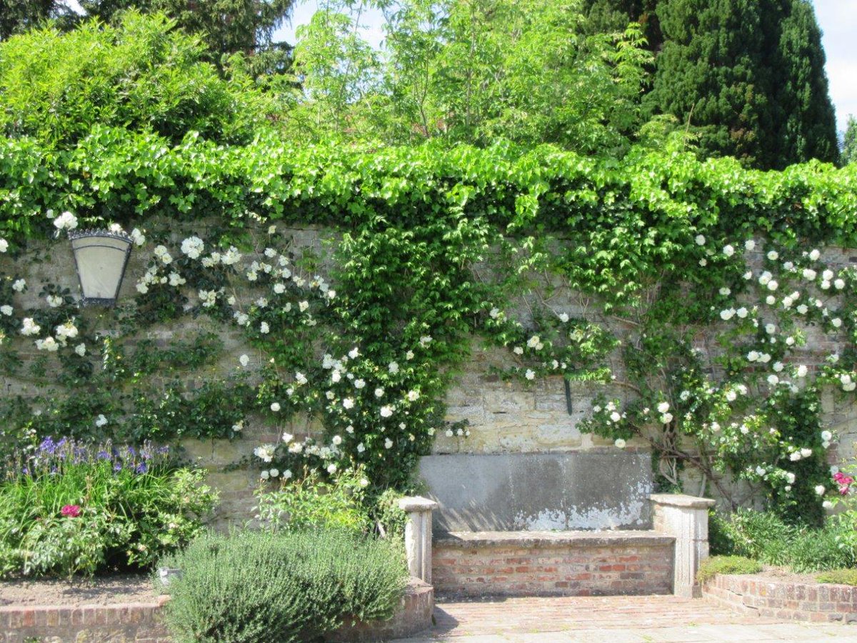 Hurrah - gardens like ours are now permitted to open.
So, initially, we will be open from Tues to Fri, 10am to 3pm, from Tues 2nd June onwards.
Please see our Visitor page for essential details to plan your visit and we will hope to see you all soon pashleymanorgardens.com/visitor-inform…