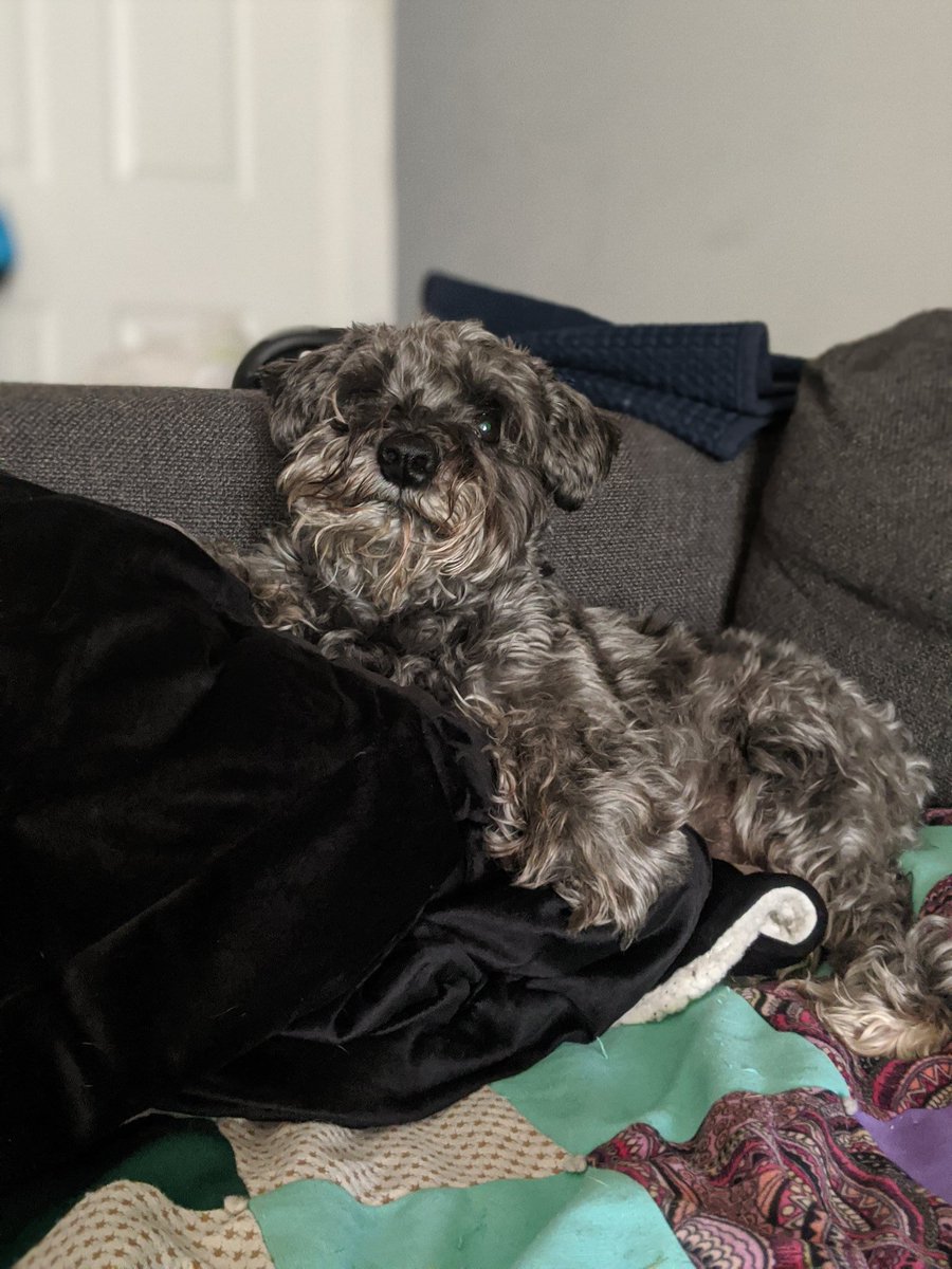 These beautiful stinky babies have been an amazing distraction from crippling self doubt these past couple of months haha.