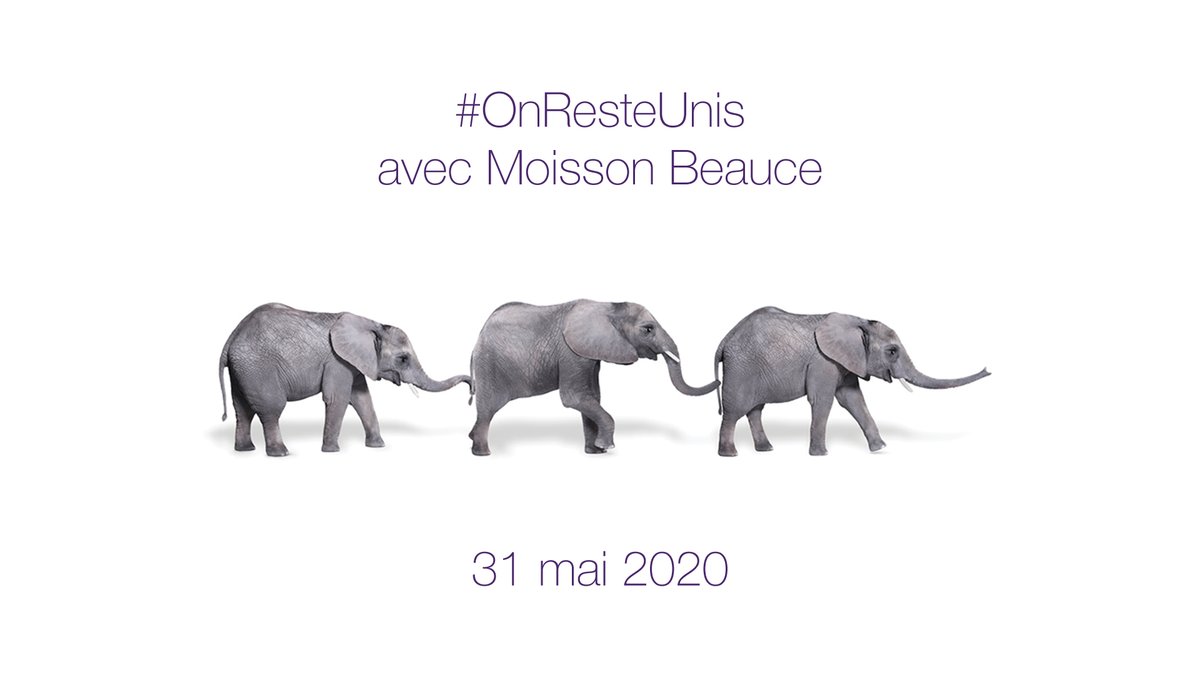 TELUSfr's tweet photo. Notre mouvement #OnResteUnis se poursuit! 💜 En collaboration avec Moisson Beauce, des dizaines de bénévoles TELUS, munis d’équipement de protection et de véhicules identifiés, récolteront des denrées que les citoyens auront laissées devant leur maison. https://t.co/UqQHAlvTHX