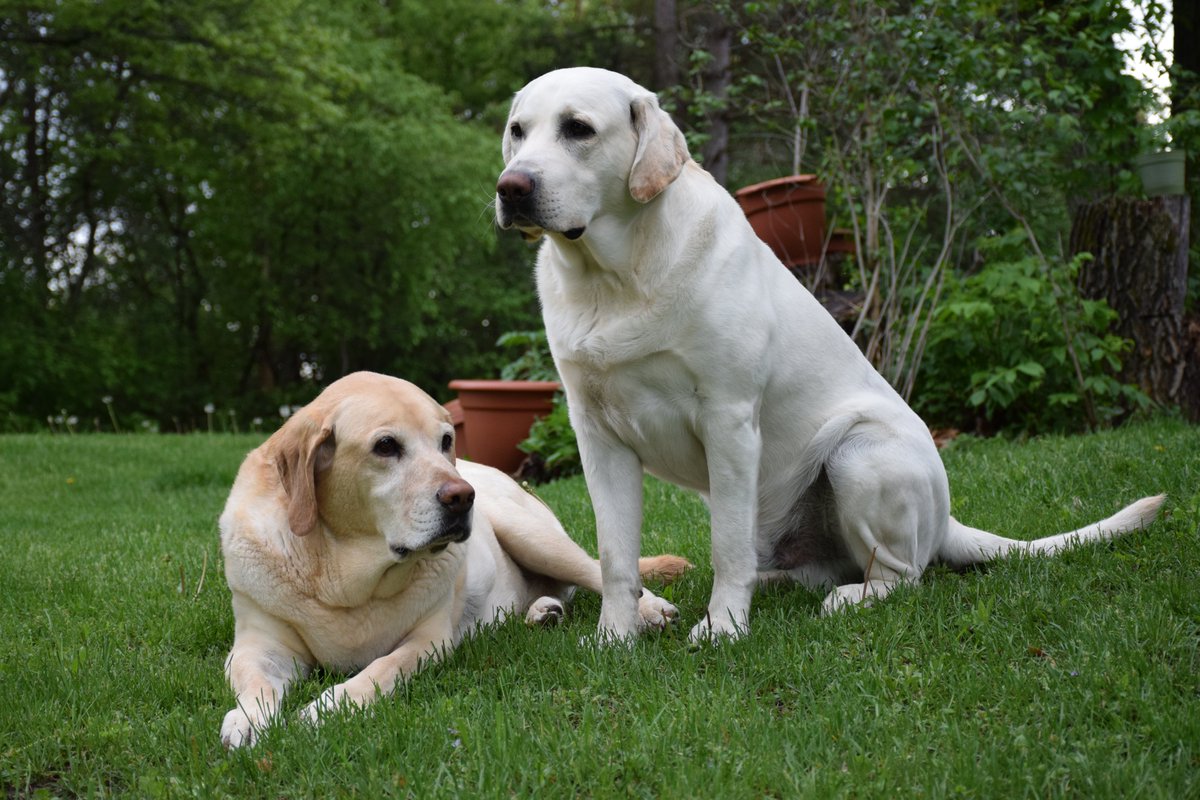 Tanya Wiesner tweet media