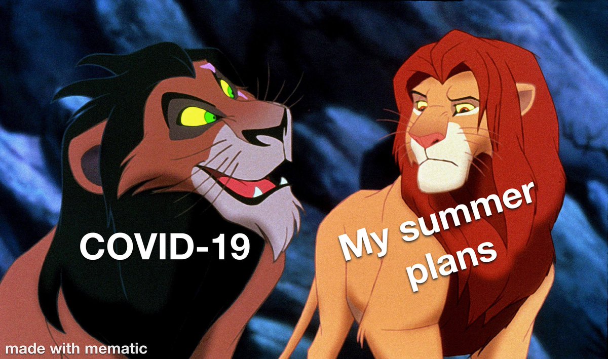 ThGnpwdrPlt's tweet photo. #memesdaily #meme #mondaythoughts #MemorialDay2020 #coronavirus #COVID19 https://t.co/UVJvwTuEJO