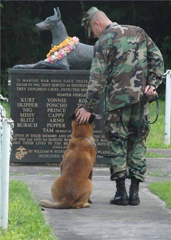 All gave some; some gave all. #MemorialDay #America #K9