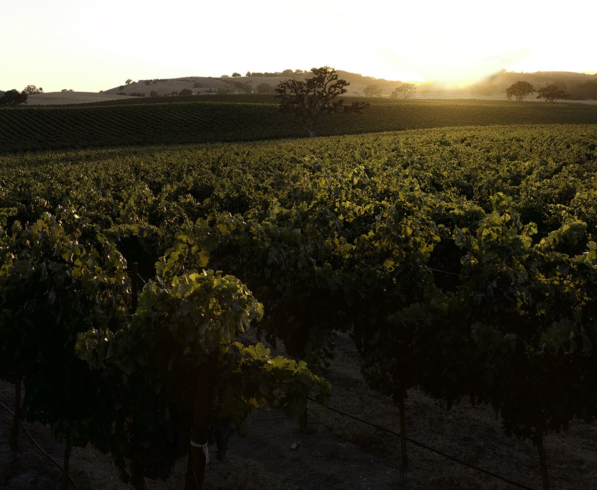 JLohrWines's tweet photo. From everyone at J. Lohr, our respect and gratitude this #MemorialDay to service men and women and first responders everywhere. Thank you! https://t.co/AWEyaxMMpm