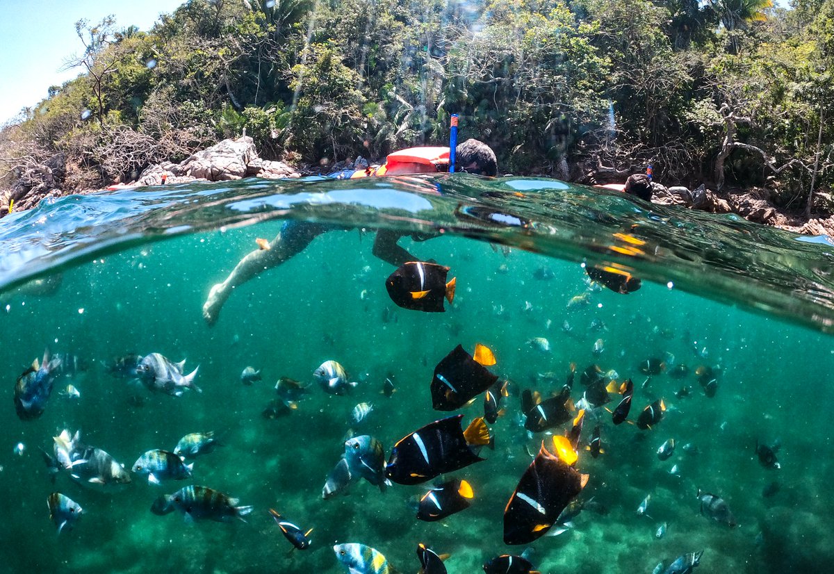 PirateShipPV tweet media