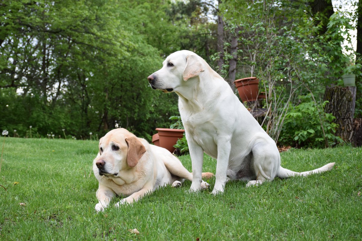 Tanya Wiesner tweet media