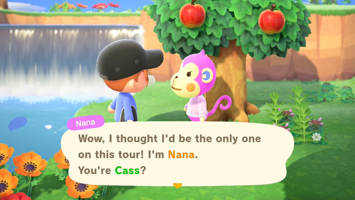 island 4. does anyone actually like the monkey villagers? didn& #39;t think so