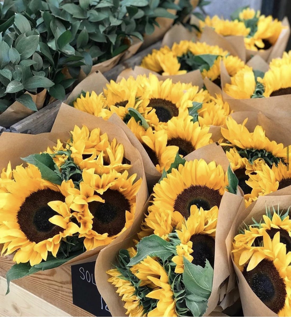 Happy #memorialday Monday 💛 the holiday might look a little different this year so take some time to show a little extra love and gratitude to honor those who work courageously in service to others. What are you grateful for today?

📸: <a href="/yellow/">Yellow</a>