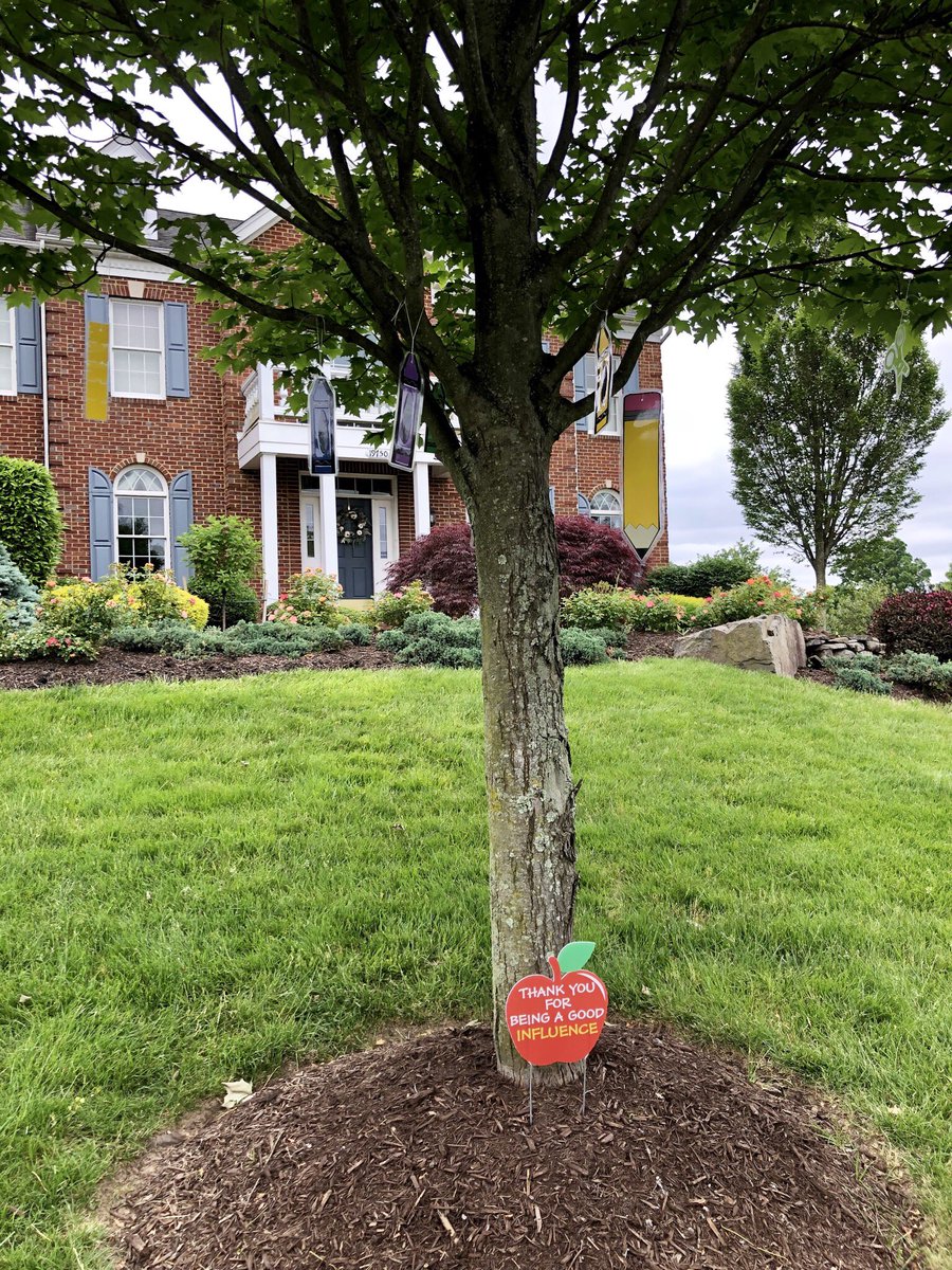 Debra Mokhiber tweet media