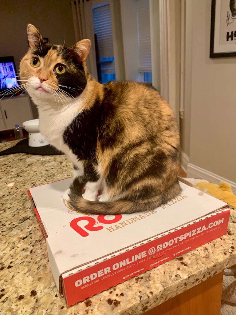 Roots Handmade Pizza (@rootspizza) on Twitter photo We love seeing your #RootsAtHome pics, especially if they have adorable fur babies 😍 Make sure to tag us <a href="/RootsPizza/">Roots Handmade Pizza</a> 🍕. We love seeing your #RootsAtHome pics, especially if they have adorable fur babies 😍 Make sure to tag us <a href="/RootsPizza/">Roots Handmade Pizza</a> 🍕.