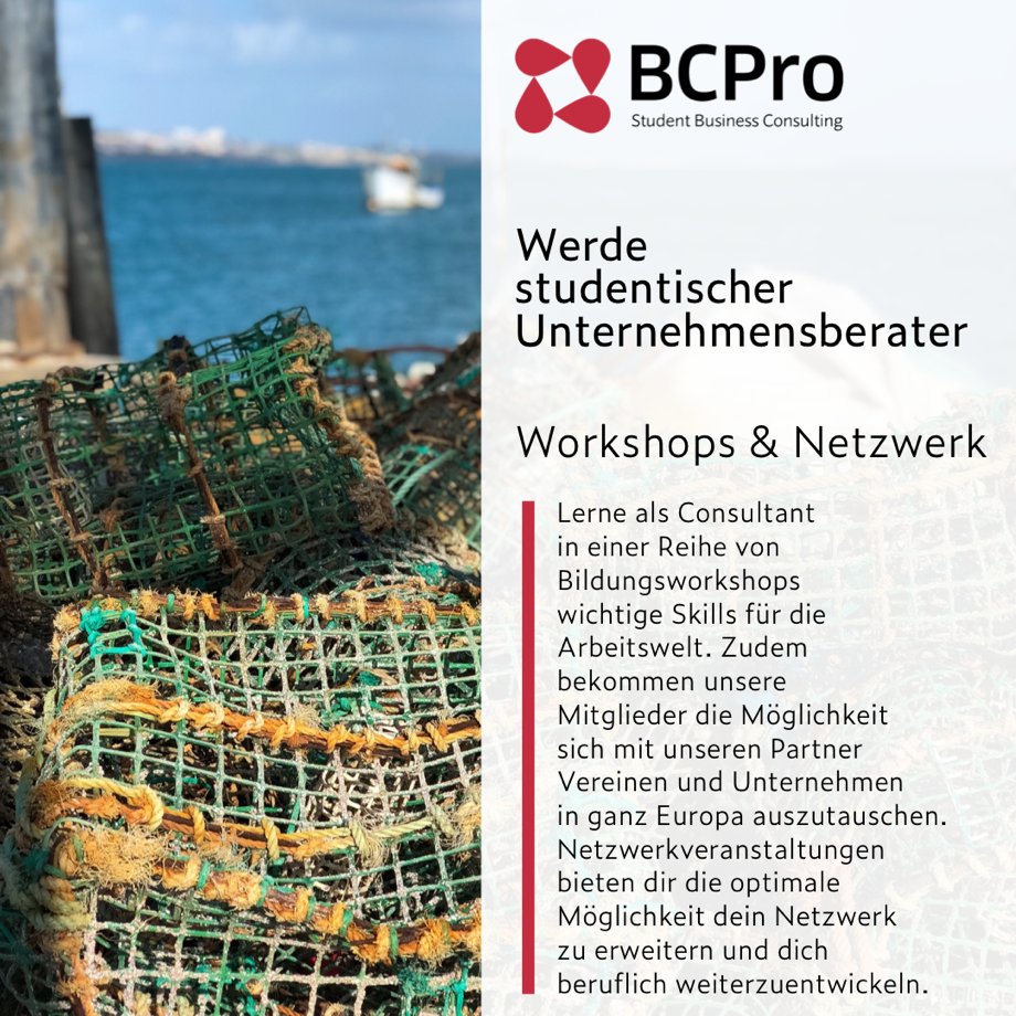 Bewirb dich bis zum 30. Mai und nutze deine Chance, Teil von BCPro zu werden!