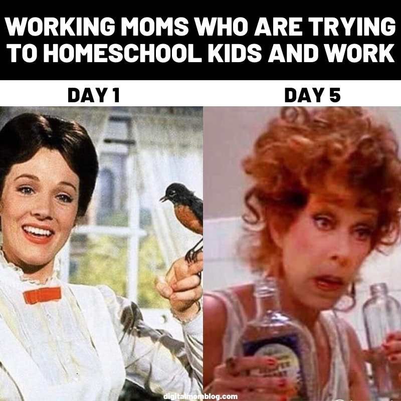 jennc0184's tweet photo. or perhaps I should stick to the work-from-home-mom life?! 🤣    #SCS2844Prompt 4/4 https://t.co/aBsBBJ43xS