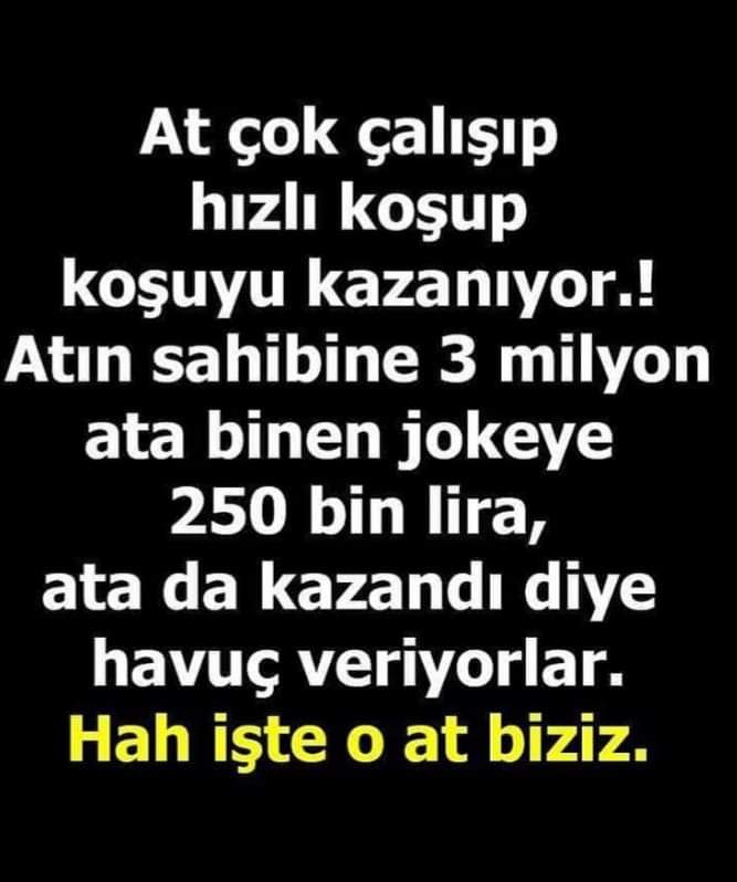 Mantıklı benzetme 🙄