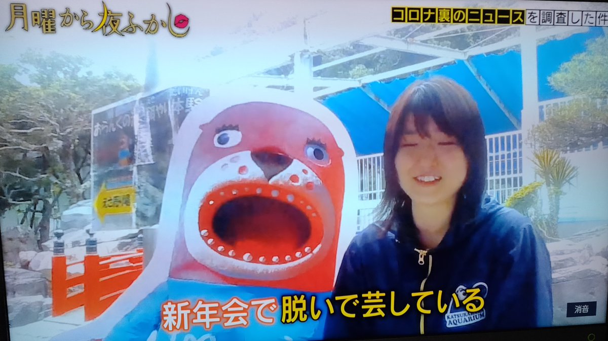 クズなワクワクさん On Twitter 桂浜水族館の森さん こんな美人なのにち こが大好きとか もう推しにするしかない 月曜から夜ふかし