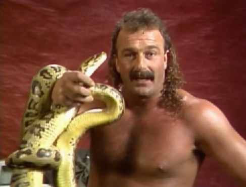 Back to the WWF's Hottest Matches, where Jake Roberts is showing off some of the snakes he might have kill Virgil.