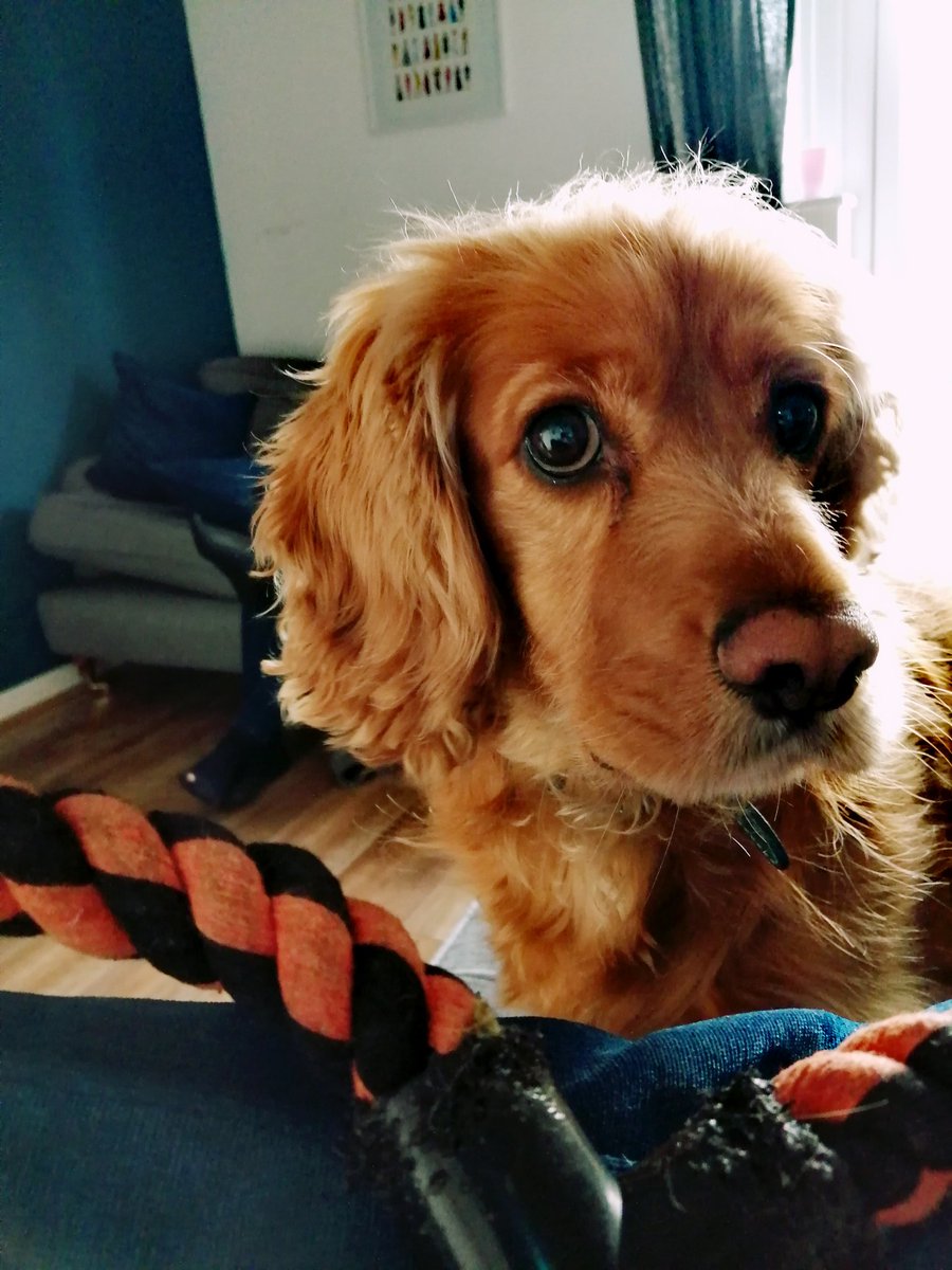 sameasonmusic tweet media