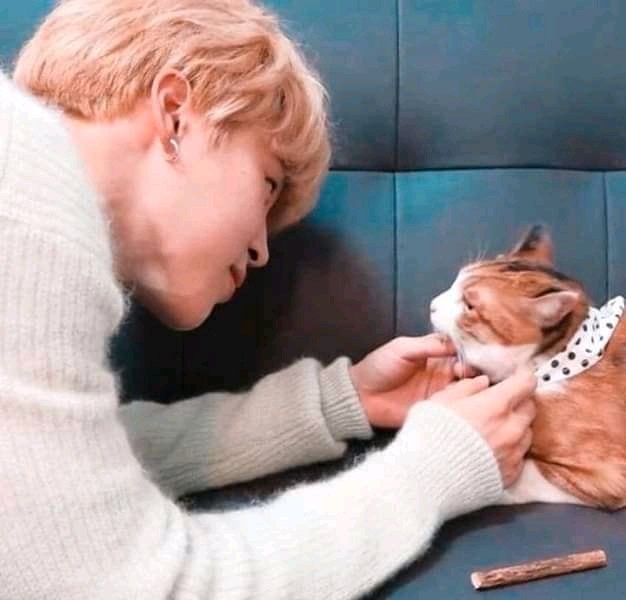 His love for cats