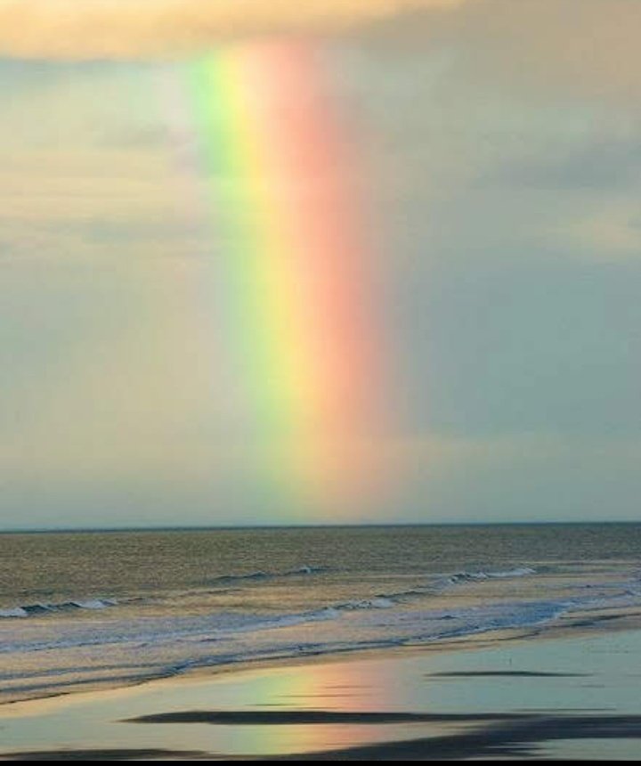 s_msonia's tweet photo. @Rob_Utopias Muchas Gracias Rob
Que tengas un bonito día 
Buen inicio de semana 🌈
#FelizLunes 
#Berainbow https://t.co/Vr88qjP4tK