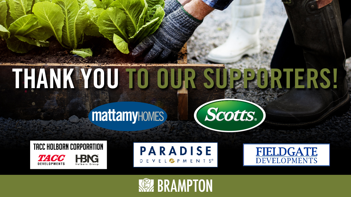 CityBrampton's tweet photo. The Backyard Garden Program has been a huge success in #Brampton! Thousands of residents have received seeds and soil to start their own gardens. A huge thank you to our supporters the TACC Holborn Corporation, @MattamyHighRise, @Scotts_MGro, @Fieldgatehomes and @ParadiseDev ❤️🌱 https://t.co/2Gb8wkfGQC