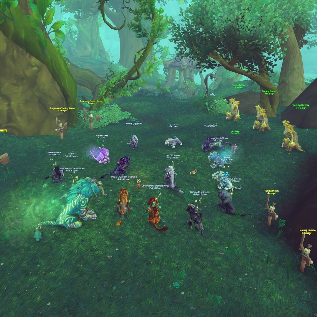 CultofElune's tweet photo. Today some of our top kitties hosted a kitty class for beginners or those who just want to improve. Great turn out! No druid left behind 🐾🐯 #alldruid #nodruidleftbehind #wowdruid #kittyclass #feraldruids #forelune https://t.co/71rQYgmsTI