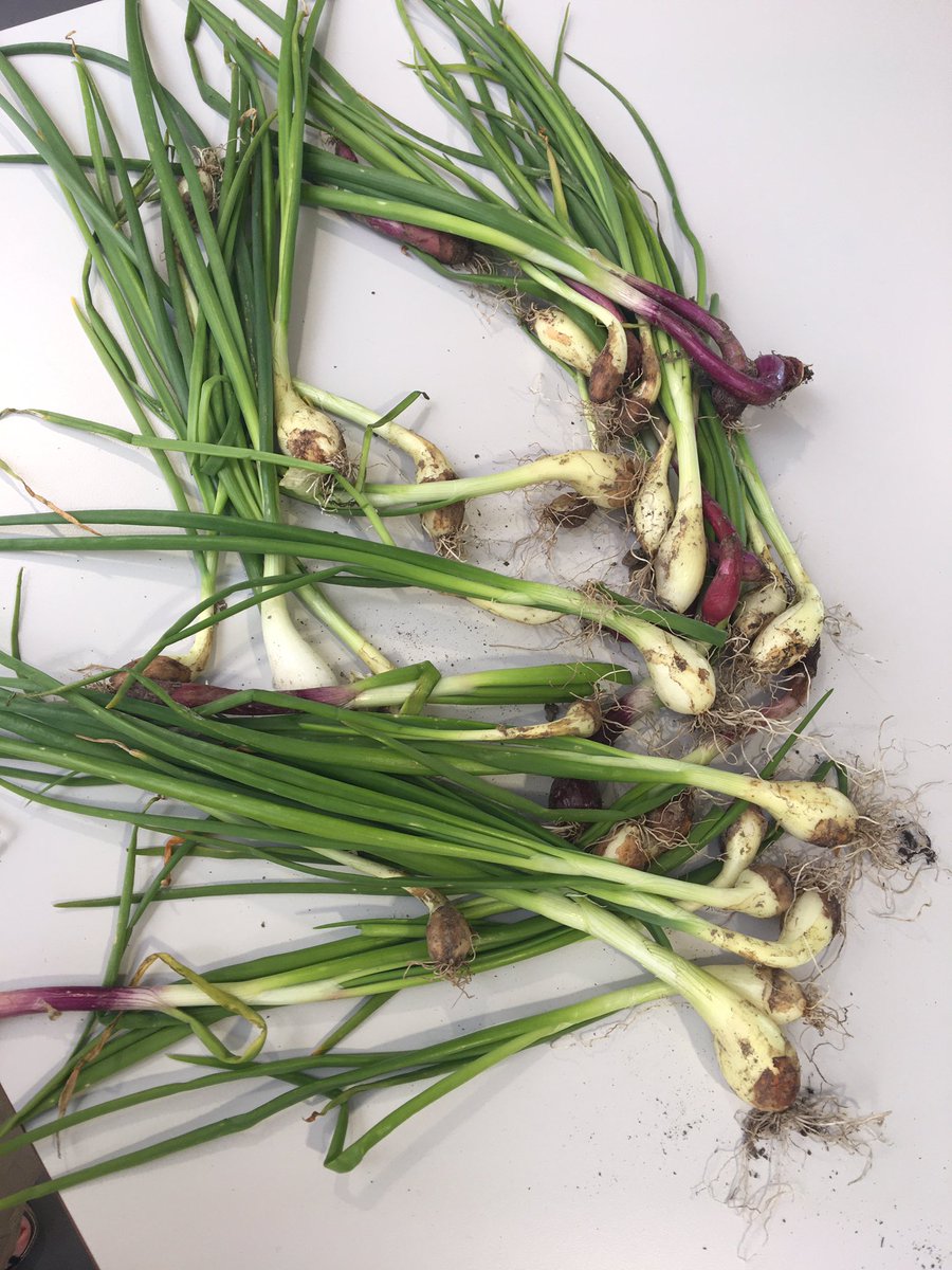 Claire McGonigal tweet media