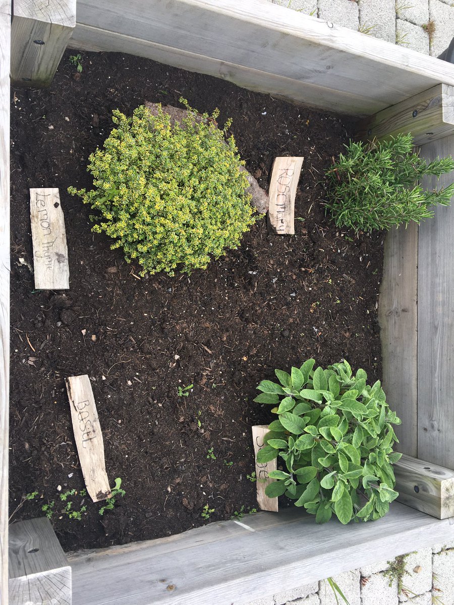 Claire McGonigal tweet media