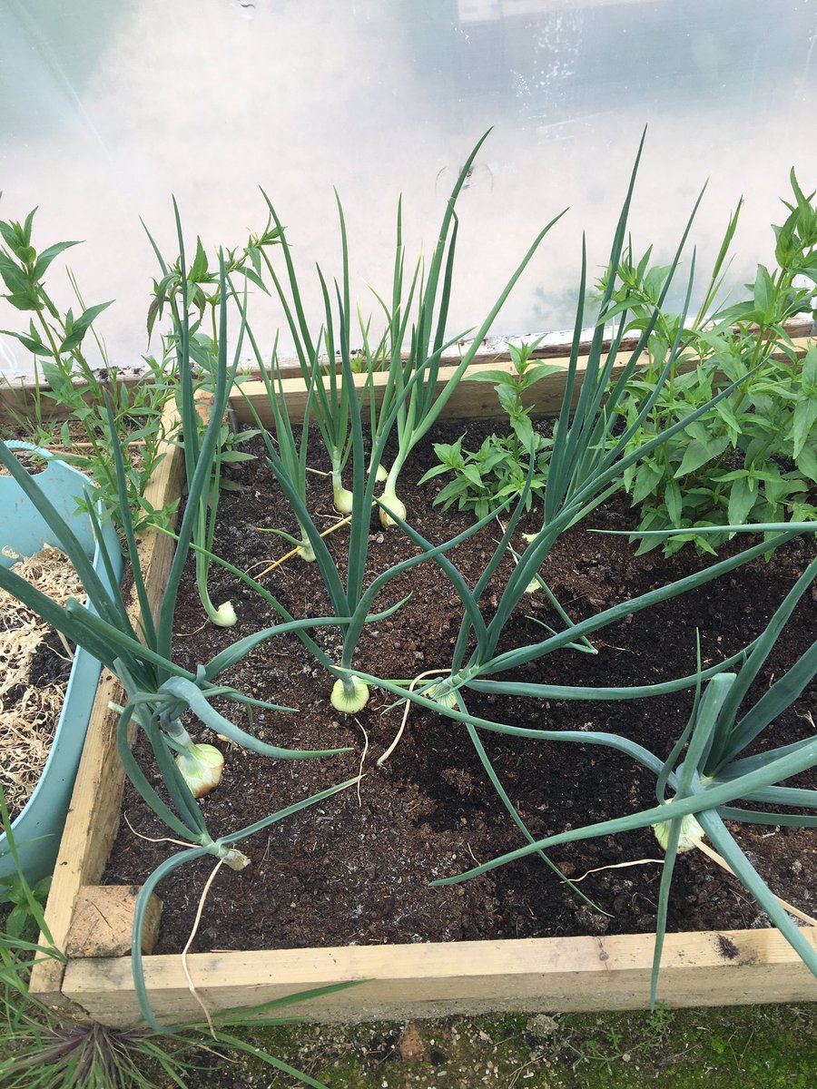 Claire McGonigal tweet media