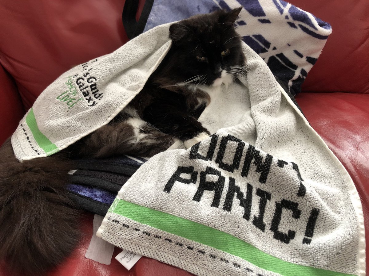 FlushedFish's tweet photo. We’re watching with our cat, a frood who really knows where his towel is #StayInForTowelDay https://t.co/1L0L17W5EN