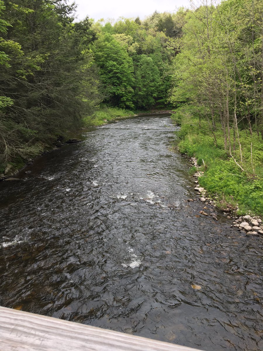 KRHornberger's tweet photo. Logged 4.9 miles this morning at the OG, @SteepRockAssoc Steep Rock Preserve in Washington. As at Hidden Valley, you have to leave the flat river trails to lose the crowds. It was quite busy for an overcast holiday Monday. @CTwoodlands #CTTrailsLessTraveled #StaySafeOutdoors https://t.co/agJnhoS47Q