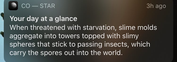 CaraCarpenter0's tweet photo. My Co-star intern mist have watched a BBC nature doc before sending this shit https://t.co/kIuMScNkqF