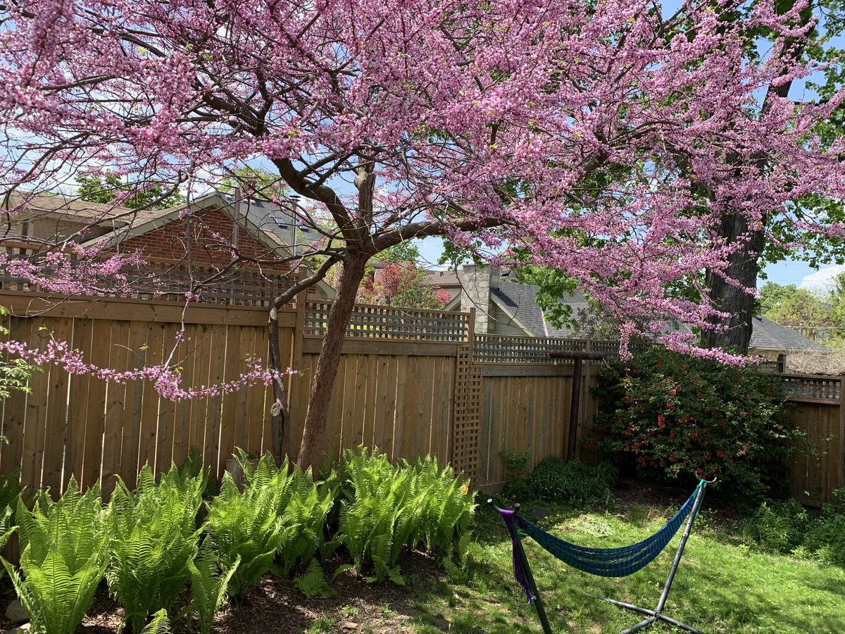 Alice Raine tweet media