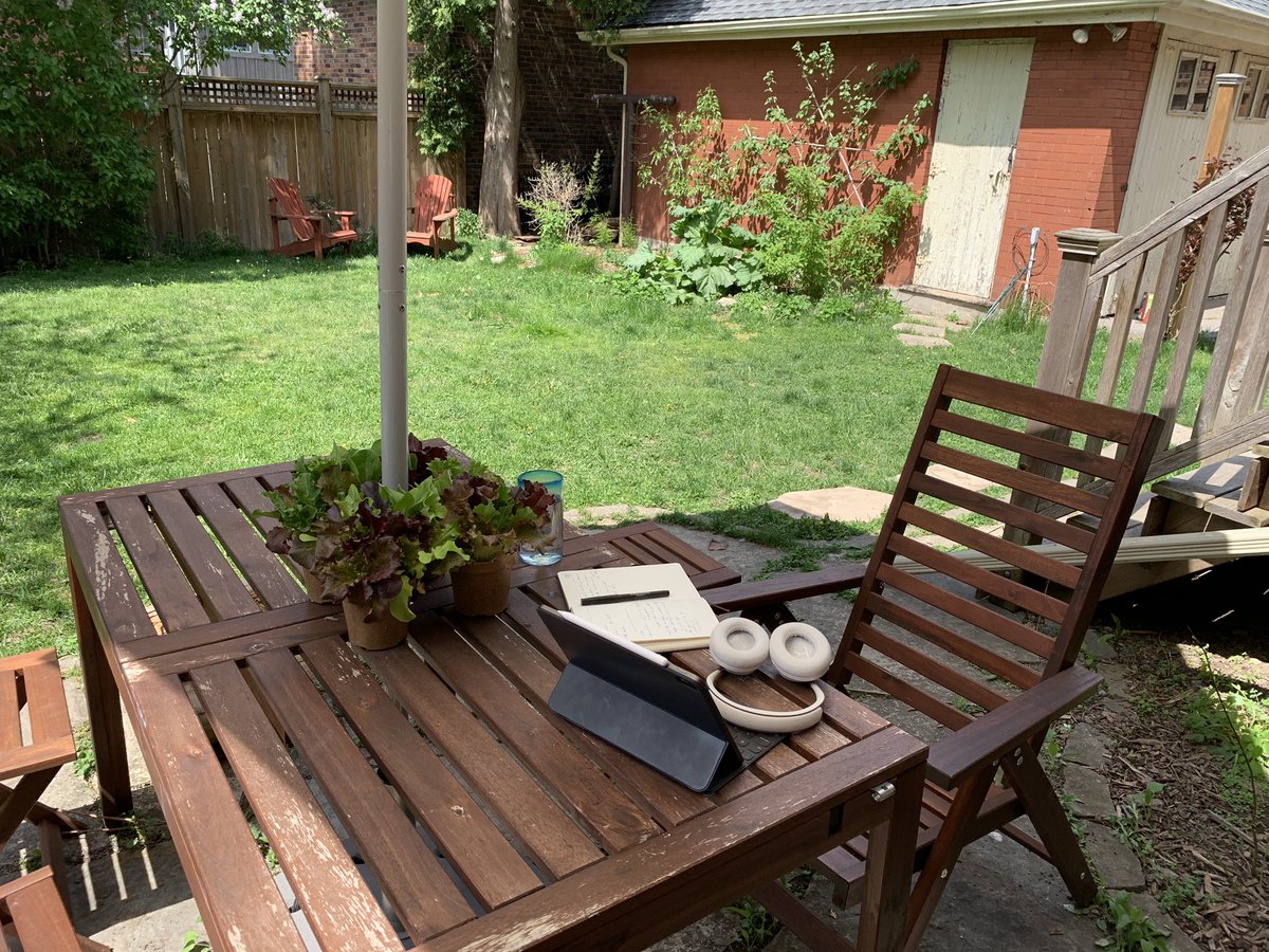 Alice Raine tweet media