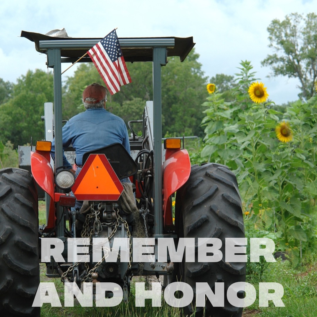 americasflowers's tweet photo. Remember and Honor.
#memorialday #americangrown https://t.co/HgJVtxhHHc