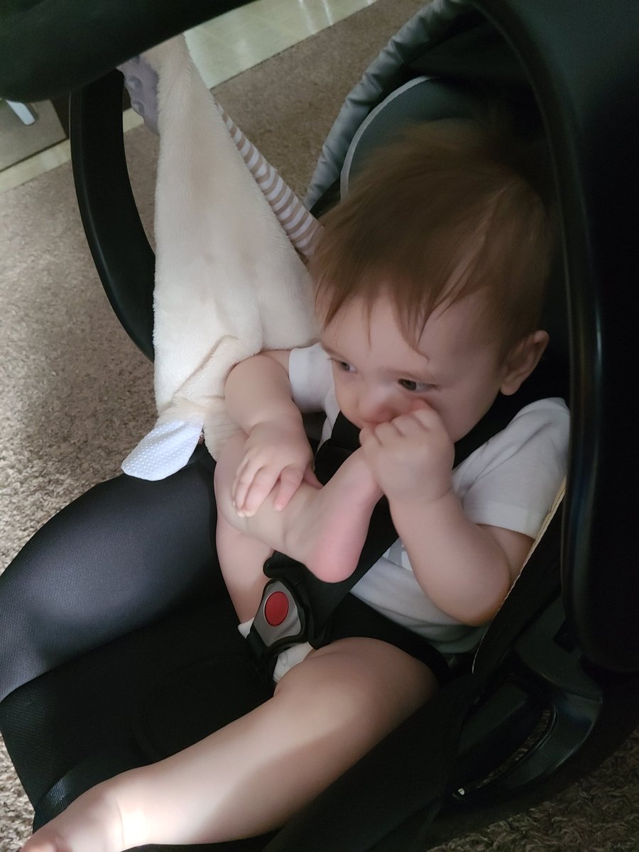 Dashieplier's tweet photo. When u eat ur foot. #relatablestuff https://t.co/0ZHB7OLO92