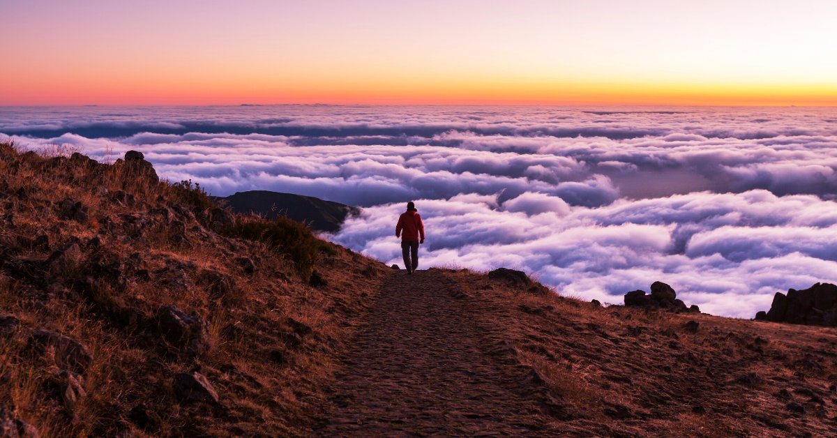 Portugaloutside's tweet photo. On the island of Madeira, We can walk in the clouds, in the heart of the mountains
➡️https://t.co/U7KUcH8LUD
#Portugal #visitportugal #travel #tour #trekkingtrip #roadtrip #aventure 
#travelling #traveler #selfguide #cantskipportugal #madeiraisland #walking #hiking https://t.co/Xork4eMEjg