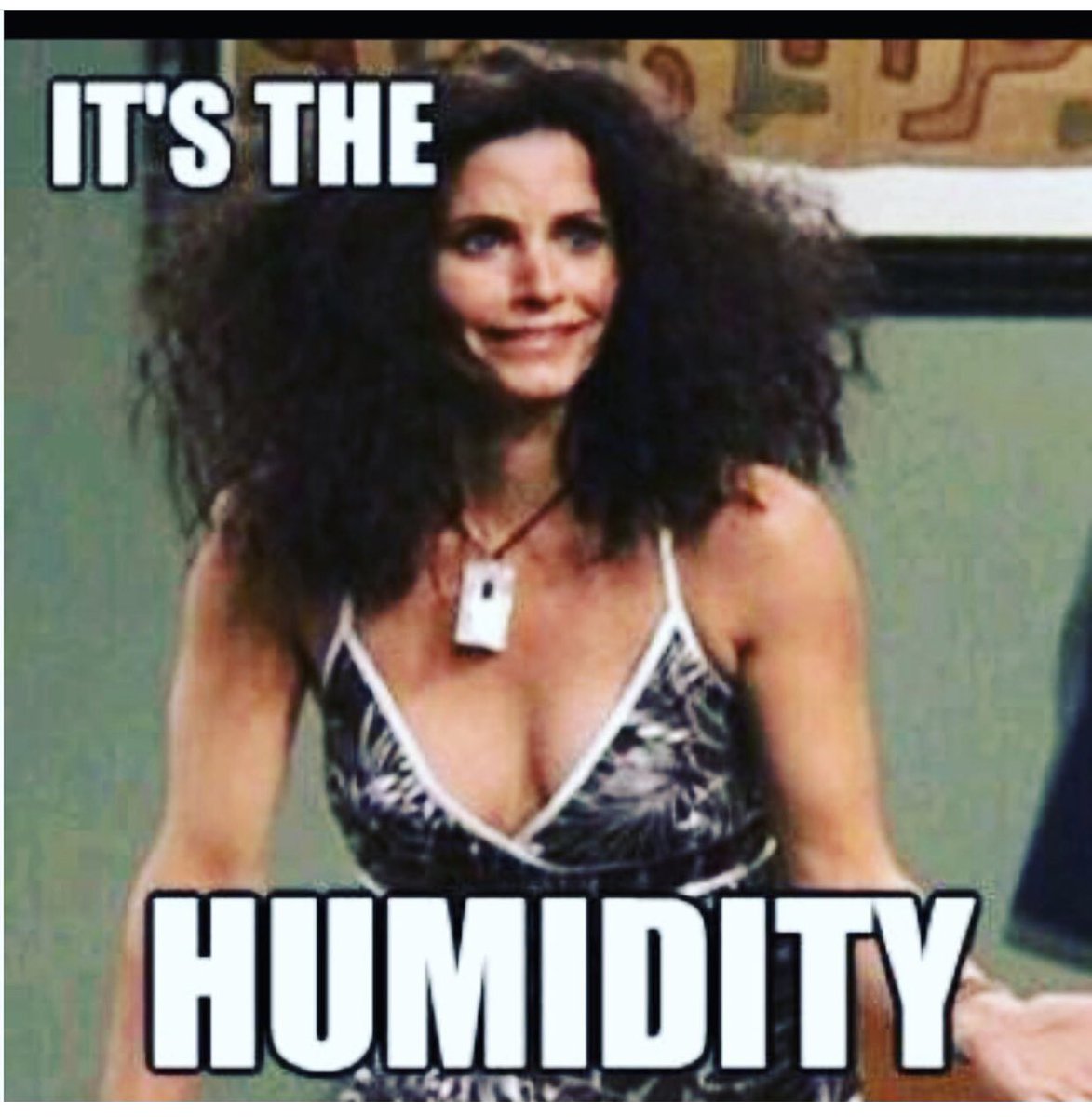HarkinKath's tweet photo. I ❤️ this weather but my hair doesn’t #currentlook #monica #thickhair https://t.co/uaK6KBJMEI