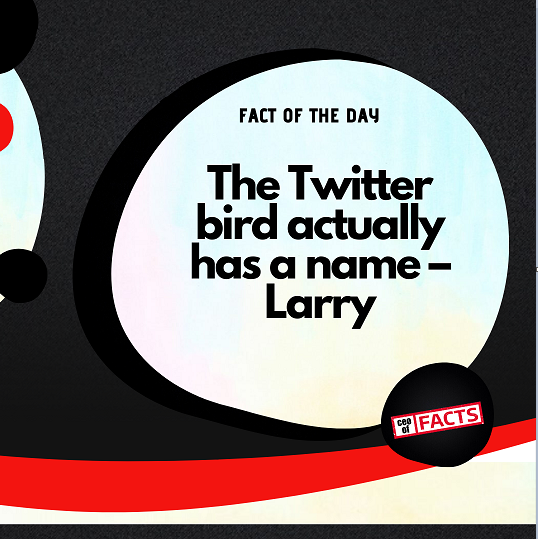 FactsCeo's tweet photo. The name comes from Larry Bird, who is a famous Hall of Fame basketball player.

The species of Larry the Bird still remains a secret!

Follow me for more facts like this!

#ceo #facts #factoftheday #news https://t.co/UyRoaTVgia