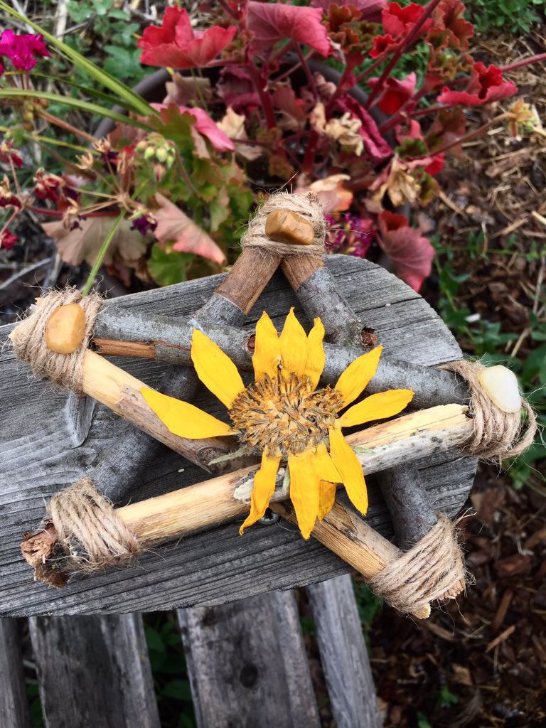 Amethyst crystal wild sunflower these two beauties need a loving home message me to claim!!