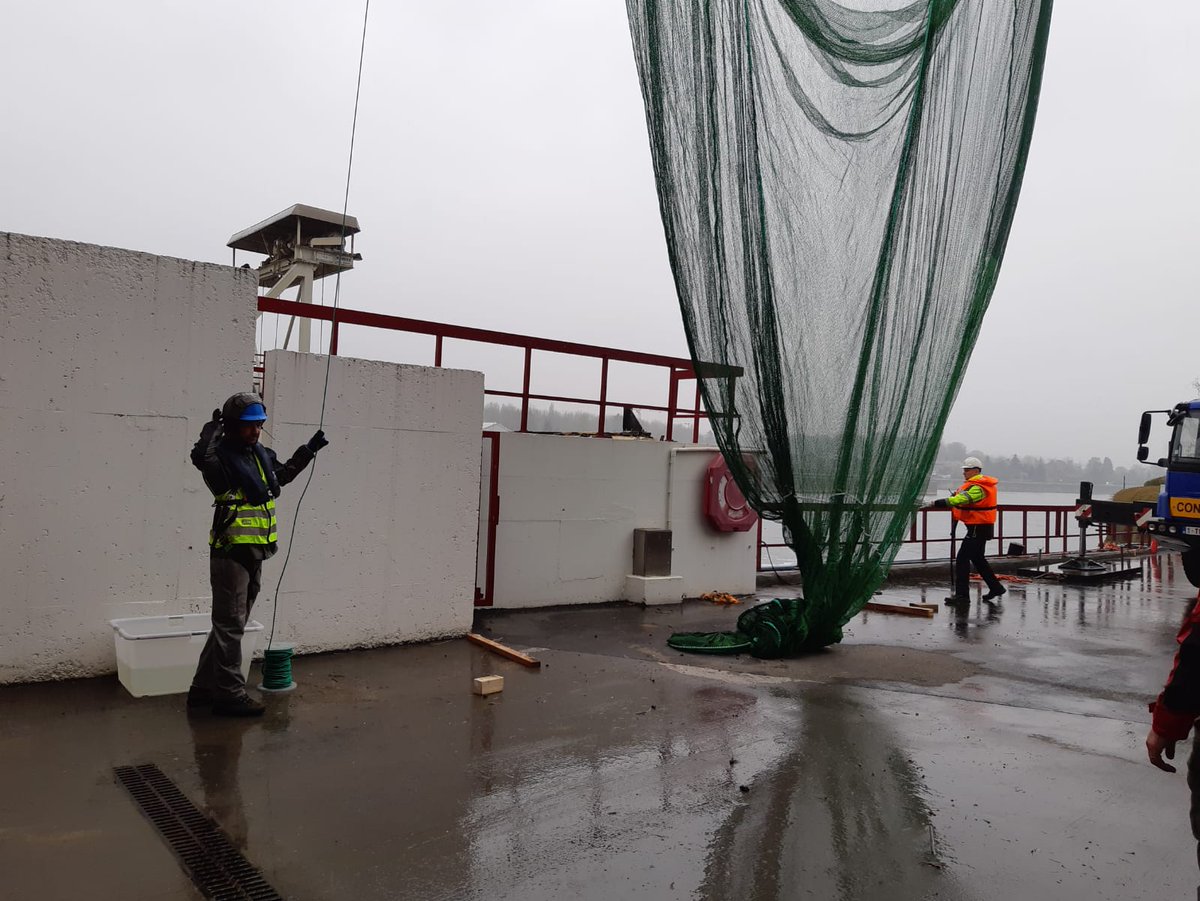 So you recover this 50m length net with a crane. The net is mounted here on more than 2 tons metallic frame and handled by a crane. It is quite dangerous, so everybody is well equipped.