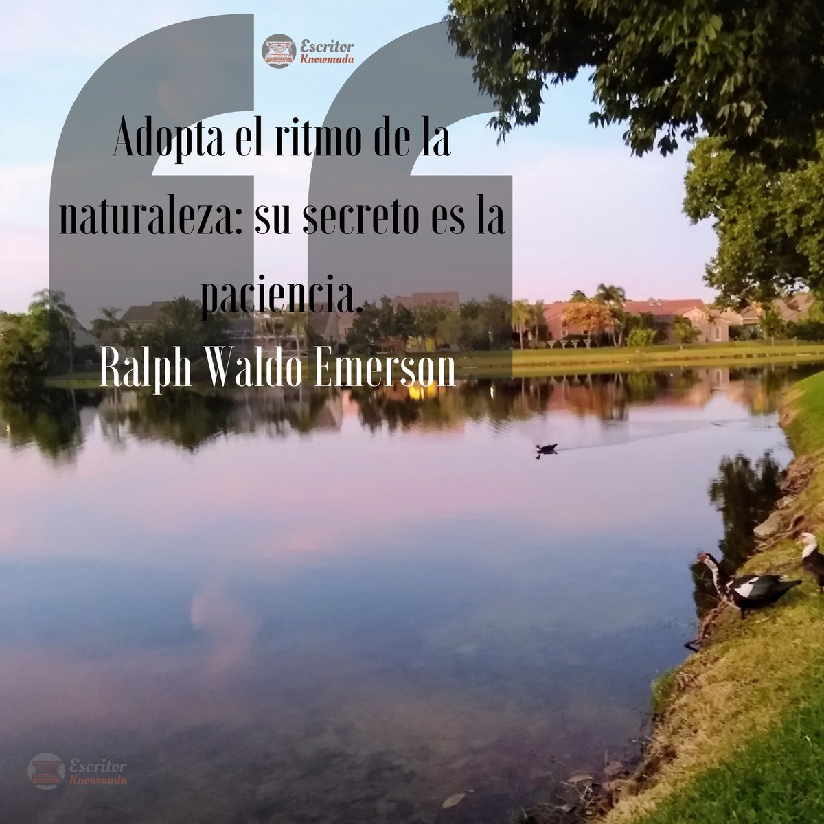 EKnowmada's tweet photo. «Adopta el ritmo de la naturaleza: su secreto es la paciencia.» Ralph Waldo Emerson. #EscritorKnowmada #frasedeldía #motivación https://t.co/Nfyn2t5NPy