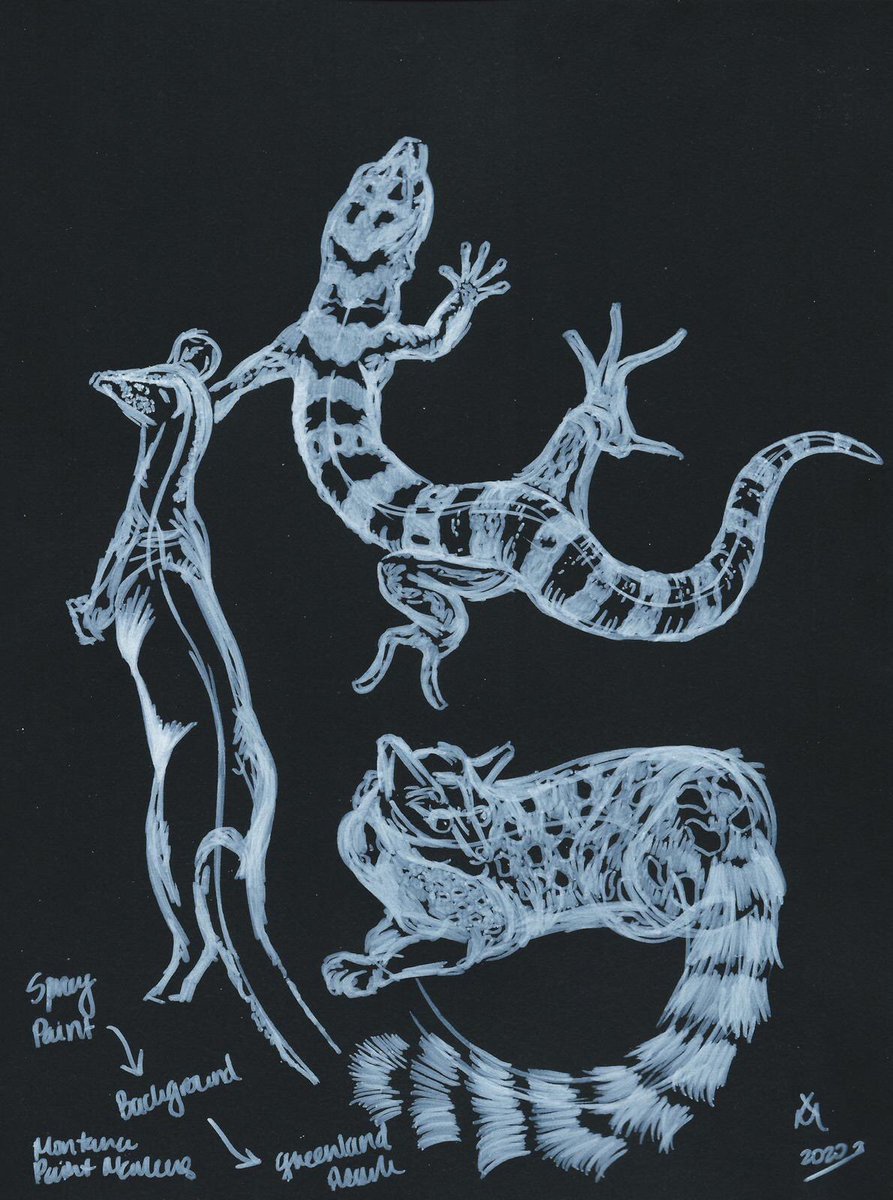 artinthelab's tweet photo. Yaya. #DotsAndStripes #drawings by #NaturalHistory #illustrator and artist Xavier Moss. Check @xmossart (FB & IG) superpower data not shown: perfect #DavidAttenborough imitation. #artinthelab @ArtBioCollab #artbiocollaborative #Cultivo #Cultivo4eva https://t.co/hlUAQtjC6O