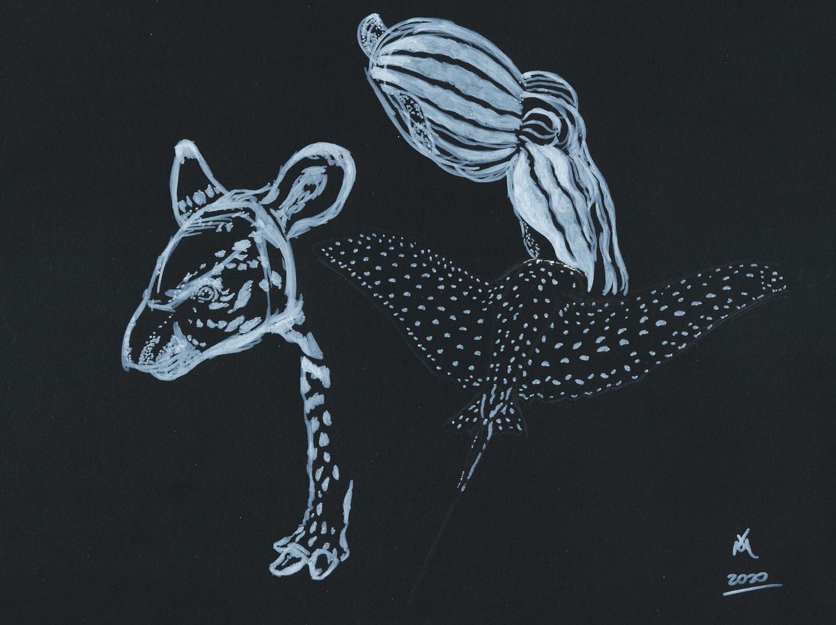 artinthelab's tweet photo. Yaya. #DotsAndStripes #drawings by #NaturalHistory #illustrator and artist Xavier Moss. Check @xmossart (FB & IG) superpower data not shown: perfect #DavidAttenborough imitation. #artinthelab @ArtBioCollab #artbiocollaborative #Cultivo #Cultivo4eva https://t.co/hlUAQtjC6O