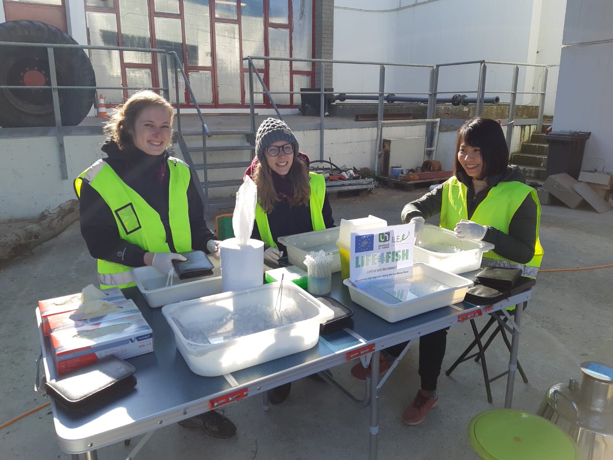 All this work (from 7 a.m. to 5 or 6 p.m. without breaks) is not possible without a dream team. Thanks to all my colleagues in URBE (University of Namur) for their big sacrifice, especially when water temperature is about 8°C and the ambient temperature about 10°C only.