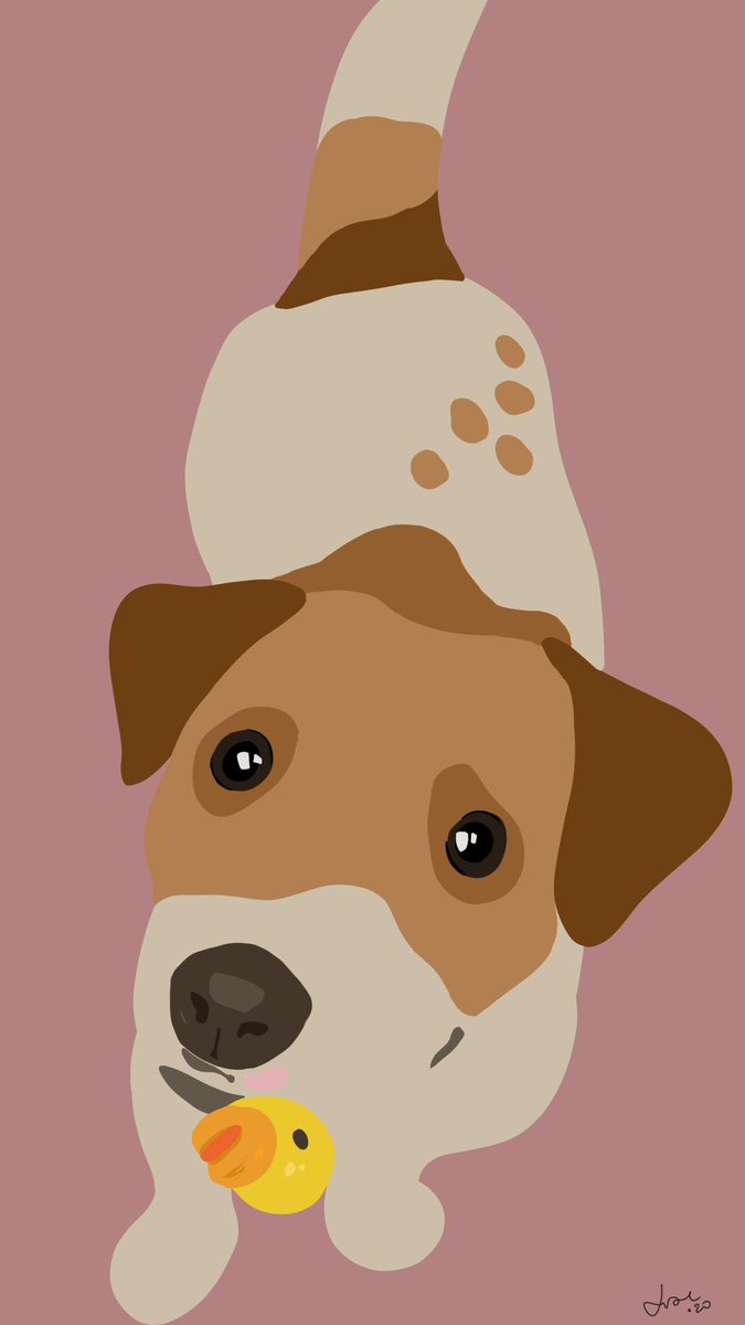 mar22tt's tweet photo. i made about 20 different versions bc im a grown up and i know what i want for a wallpaper huh #art #wallpaper #dog #jackrussel #JackRusselTerrier #pet #petart #ryba https://t.co/dwLeRg0Frs