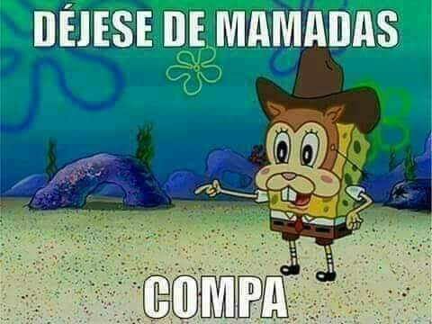 Kris72584136's tweet photo. @andy30624751 @arigameplays No me vayas a salir con la mamada de "Es Cura Raza"?😆 https://t.co/KsO2E7uOwp