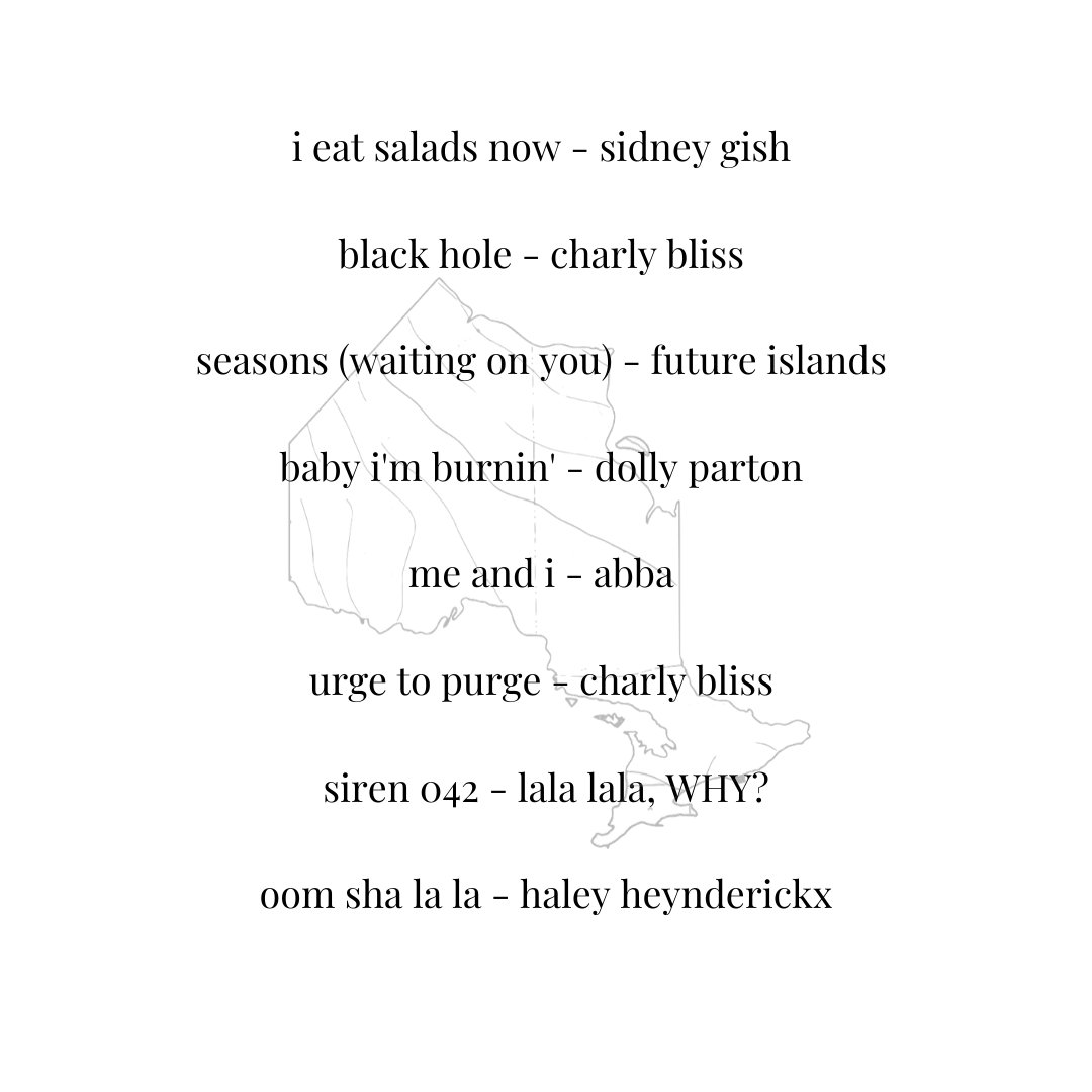 The Northern Appeal tweet media