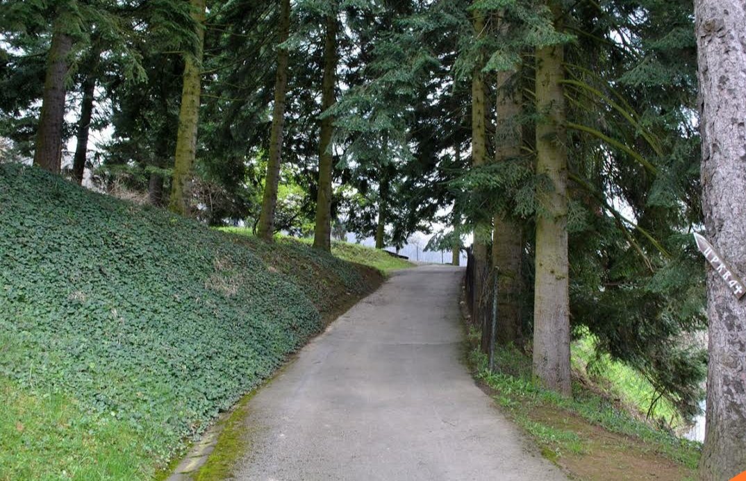 sinisa_jevtic's tweet photo. Pored crkve Lazarice koja se nalazi u samom Krusevcu u  neposrednoj blizini naseg malog Raja (8km) nalazi se i manastir  Naupare iz 14veka zaduzbina Lazarevog sina Stefana .Crkva je posvecena Rodjenje Presvete Bogorodice i pravo je zadovoljstvo posetiti je. https://t.co/n7SRdEyf6m